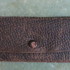 An Antique Clothes Brush in its Original Case
