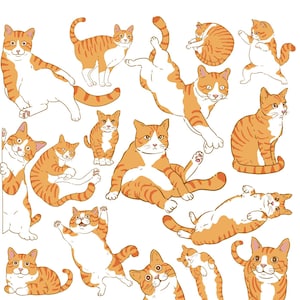 Orange Cat Activities | Printable Cat Wall Art for Cat Lovers