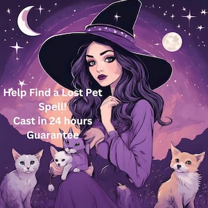 Puede incluir: Una bruja vestida de morado con un sombrero negro puntiagudo y cabello largo morado sostiene tres gatos blancos. El fondo es un cielo nocturno estrellado morado y rosa con dos lunas. El texto dice "Help Find a Lost Pet Spell! Cast in 24 hours Guarantee."