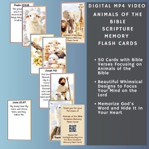 Schede didattiche video DIGITALI in formato MP4 con la Bibbia, animali della Bibbia (oltre Noè), 50 versetti e immagini, riproducibili su qualsiasi dispositivo, divertimento per tutti!