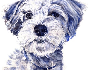 Schnauzer Art Print, Schnauzer in Blue, Dog Art Print