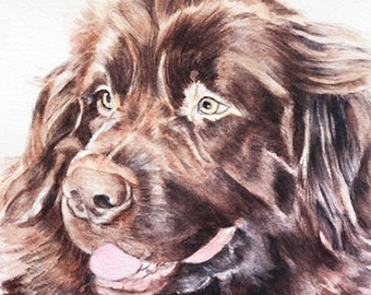 Hand Painted Watercolor Pet Portrait:  Pet Loss gift