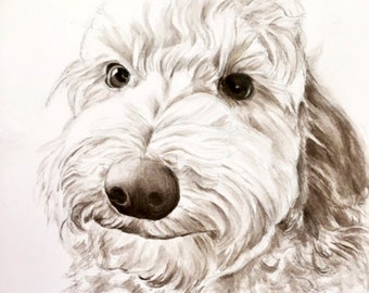 WATERCOLOR DOG PORTRAIT,  Sepia Watercolor