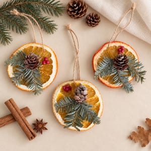 May include: Three circular dried orange slice ornaments, each featuring a small brown pinecone, green evergreen sprigs, and three small red berries. Each ornament is attached to a thin jute twine loop for hanging, arranged on a neutral surface.