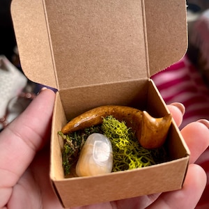 May include: A small, brown, ceramic snail figurine with a white, iridescent stone and green moss in a brown cardboard box.