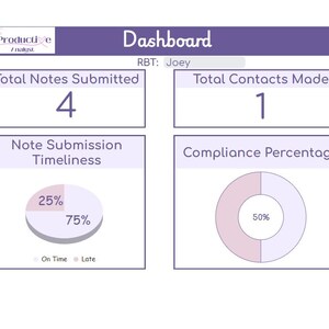 Session Note Audit Tracker | Editable Audit Spreadsheet With Dynamic ...