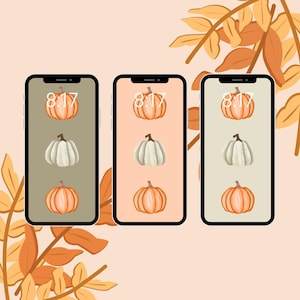 May include: Three phone mockups with different colored backgrounds, each displaying a pumpkin and a white gourd. The time on each phone is 8:17.