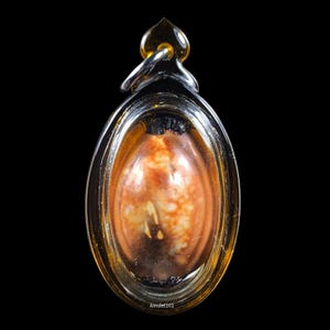 May include: An oval-shaped pendant with a clear, protective casing. The pendant's interior features a detailed, multi-toned design in shades of orange, brown, and white. A silver-colored loop and a gold-colored top complete the design. The text "Amulet101" is visible.