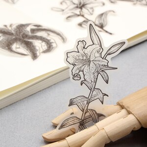 Leliebloem schets perkament sticker | Lelies Zilverfolie zwart wit botanisch schetsen bloemen bloem plant gestanste stickers Be-1