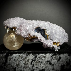 Authentic Crystallized Coyote Skull Top - Dusty Blue