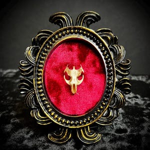 Framed Authentic Rat Skull