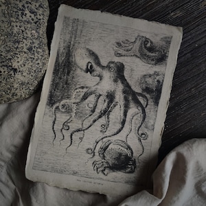 Die Krake | Illustration eines alten Buches, Dark Academia Poster, Vintage Nautische Dekoration, Poster Wandbehang, Ozeanleben Druck, Meereskreatur Kunst