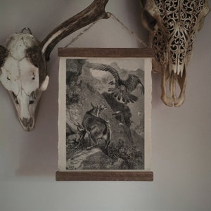 Las cabras y el águila / Decoración natural para el hogar, Arte rústico de pared, Ilustración de libros antiguos, Impresión de vida silvestre, Decoración de Dark Academia