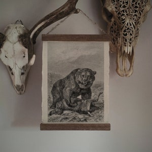 El oso grizzly / Decoración de cabaña en el bosque, ilustración de libros antiguos, arte mural rústico, impresión de vida silvestre, arte de historia natural