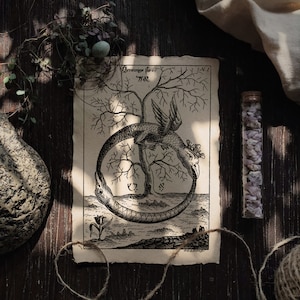 Ouroboros | Alchemie Wandkunst, Vintage Buchillustration, mystischer Kunstdruck, witchy Wohnkultur, dunkle Academia-Ästhetik, Mythologie-Kreatur
