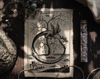 Ouroboros | Alchemie kunst aan de muur, vintage boekillustratie, mystieke kunstprint, Witchy Home Decor, Dark Academia esthetic, mythologisch wezen