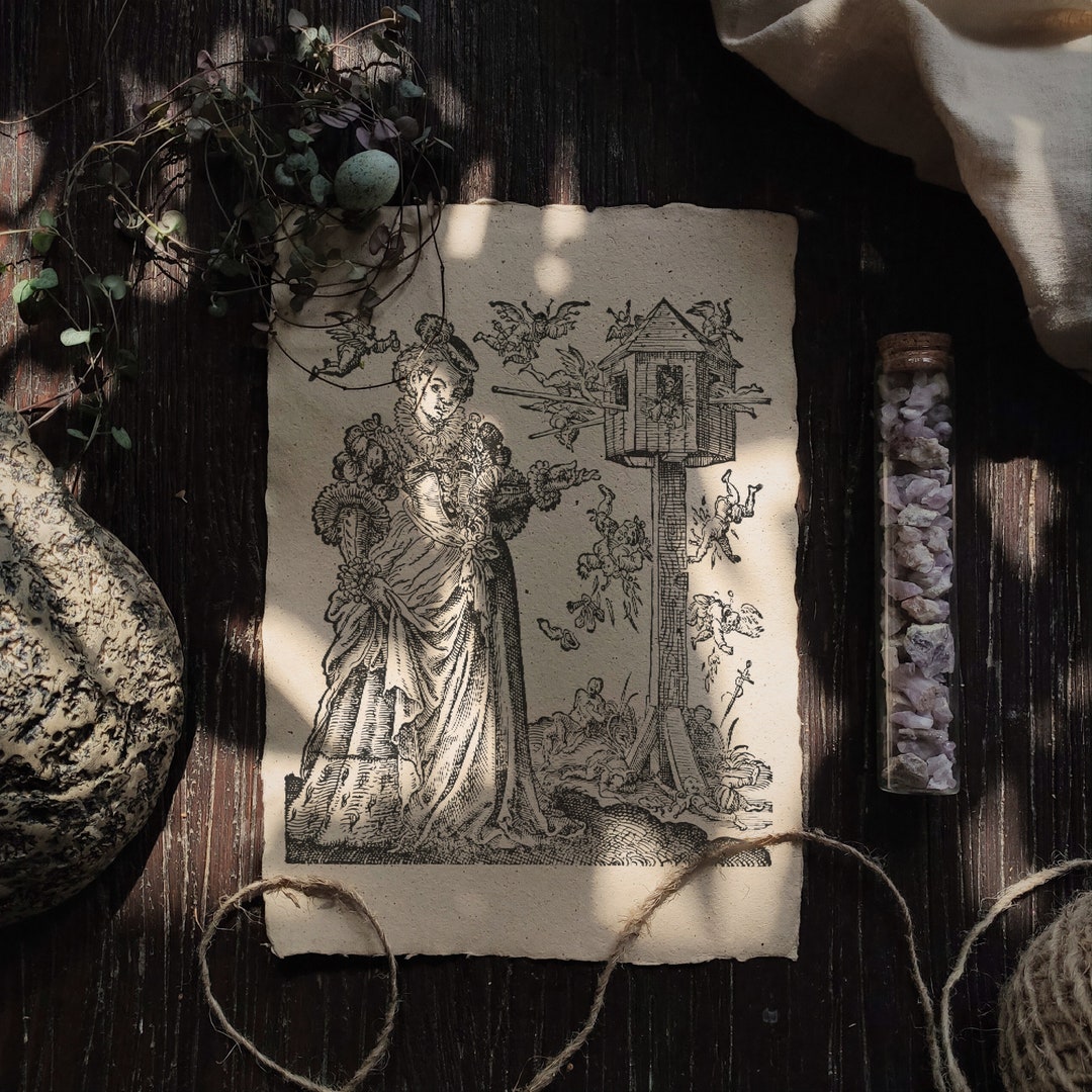 Lady and the Winged Fools | Cottagecore Wall Art, Old Illustration ...