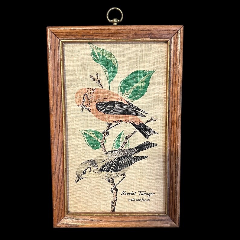 R. Batchelder for Kay Dee Framed Linen Print Scarlet Tanager Bird Wall ...