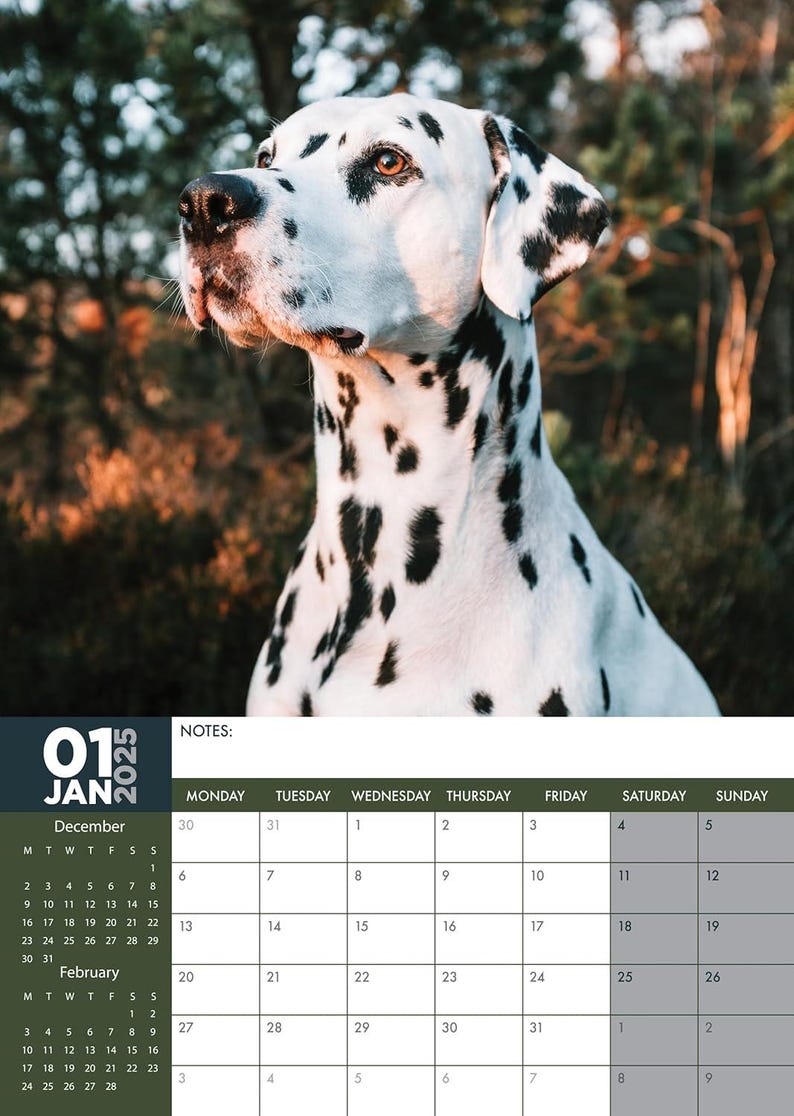 Dalmation 2025 Wall Calendar Etsy Il 794xN.6306043810 8ok4