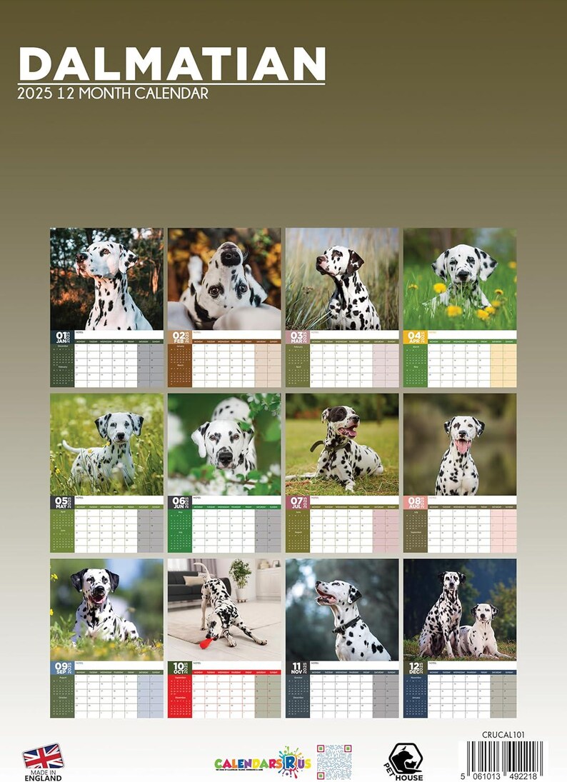 Dalmation 2025 Wall Calendar Etsy Il 794xN.6306043980 Rnww