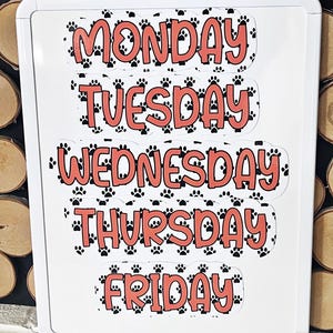 Classroom magnets for whiteboards, days of the week magnets, customized whiteboard magnets, schedule magnets for classroom, teacher magnets