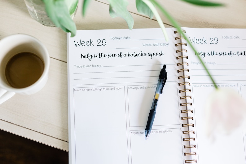 pregnancy diary book
