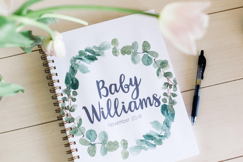 pregnancy diary book
