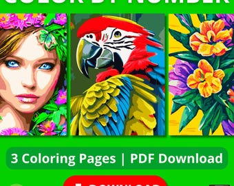 Color by Number. Coloriage mystère. Coloriage par numéro.