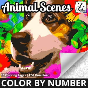 Color by Number. Coloriage mystère. Coloriage par numéro.