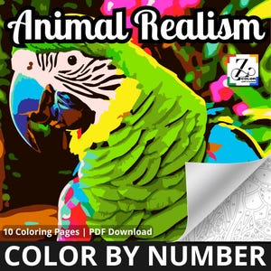 Color by Number. Coloriage mystère. Coloriage par numéro.