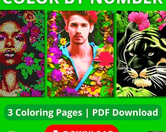Color by Number. Coloriage mystère. Coloriage par numéro.