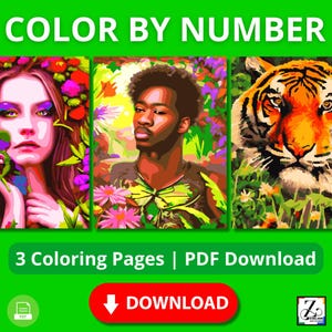 Color by Number. Coloriage mystère. Coloriage par numéro.
