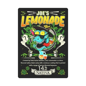 Pokerkarten, Weed, Marihuana, Cannabis, Toker, Blunt, Gelenk, Pot, Stoner, Geschenk für Stoner, Marihuana Spielkarten, Ganja Kartenspiel, 420