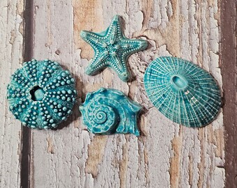 Seashell Collection Mosaic Tiles Set of 4, Sea Star, Large Limpet, Spiral Shell, Sea Urchin Shell,