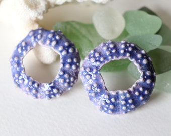 Sea Urchin Rings Purple Set Earring Components Mermaid Adornment Beachy Girl