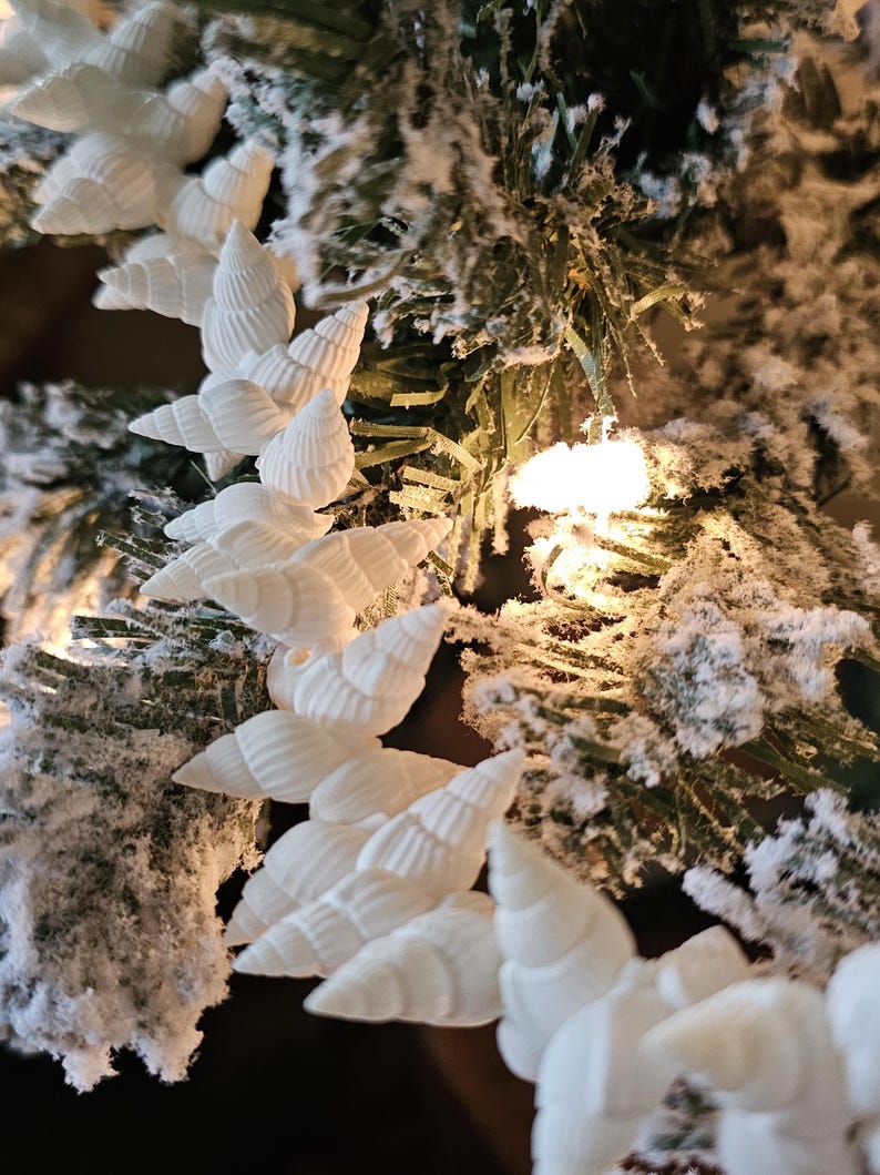 K&ouml;nnte beinhalten: Wei&szlig;e Muscheln, die als Girlande an einem schneebedeckten k&uuml;nstlichen Weihnachtsbaumzweig befestigt sind.