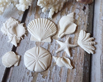 Seashell Mosaic Tile Set, White, Sea Shells, Beachy Decorating, 8 Pieces