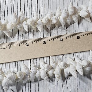 K&ouml;nnte beinhalten: Eine Schnur aus wei&szlig;en Muscheln, etwa 15 cm lang, auf einer wei&szlig;en Holzoberfl&auml;che mit einem Lineal als Ma&szlig;stab ausgelegt.  "Made in USA" ist auf dem Lineal aufgedruckt.