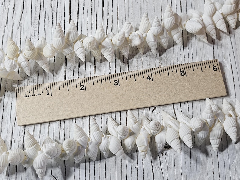 K&ouml;nnte beinhalten: Eine Schnur aus wei&szlig;en Muscheln, etwa 15 cm lang, auf einer wei&szlig;en Holzoberfl&auml;che mit einem Lineal als Ma&szlig;stab ausgelegt.  "Made in USA" ist auf dem Lineal aufgedruckt.