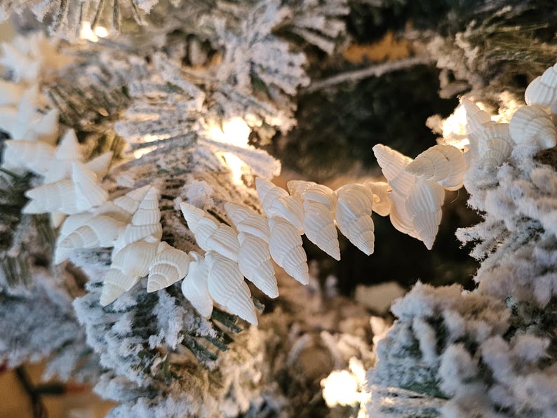 K&ouml;nnte beinhalten: Eine wei&szlig;e Muschel-Girlande, die an einem schneebedeckten k&uuml;nstlichen Weihnachtsbaum befestigt ist. Die Girlande besteht aus kleinen, wei&szlig;en Muscheln, die in einer Reihe angeordnet sind.