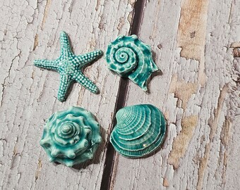 Ceramic Seashells Set of 4 Mosaic Components Handbuilt