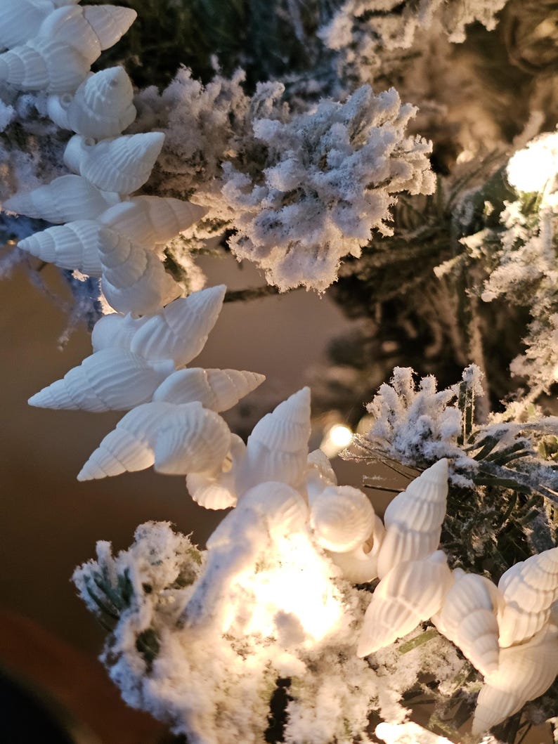 K&ouml;nnte beinhalten: Wei&szlig;e Muscheln, die als Girlande auf einem schneebedeckten k&uuml;nstlichen Weihnachtsbaum h&auml;ngen.