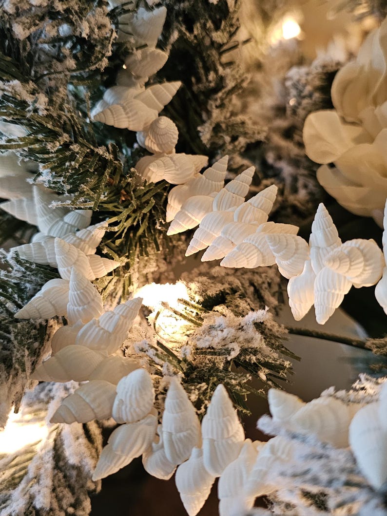 K&ouml;nnte beinhalten: Wei&szlig;e Muschelschmuckst&uuml;cke auf einem schneebedeckten k&uuml;nstlichen Weihnachtsbaumzweig. Die Muscheln sind in einer Gruppe angeordnet und haben eine strukturierte Oberfl&auml;che.