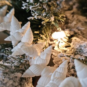 K&ouml;nnte beinhalten: Wei&szlig;e Muscheln, die in einem Kreis auf einem schneebedeckten, gr&uuml;nen k&uuml;nstlichen Weihnachtsbaumzweig angeordnet sind. Die Muscheln sind ein nat&uuml;rliches, organisches Material und haben eine zarte, strukturierte Oberfl&auml;che.