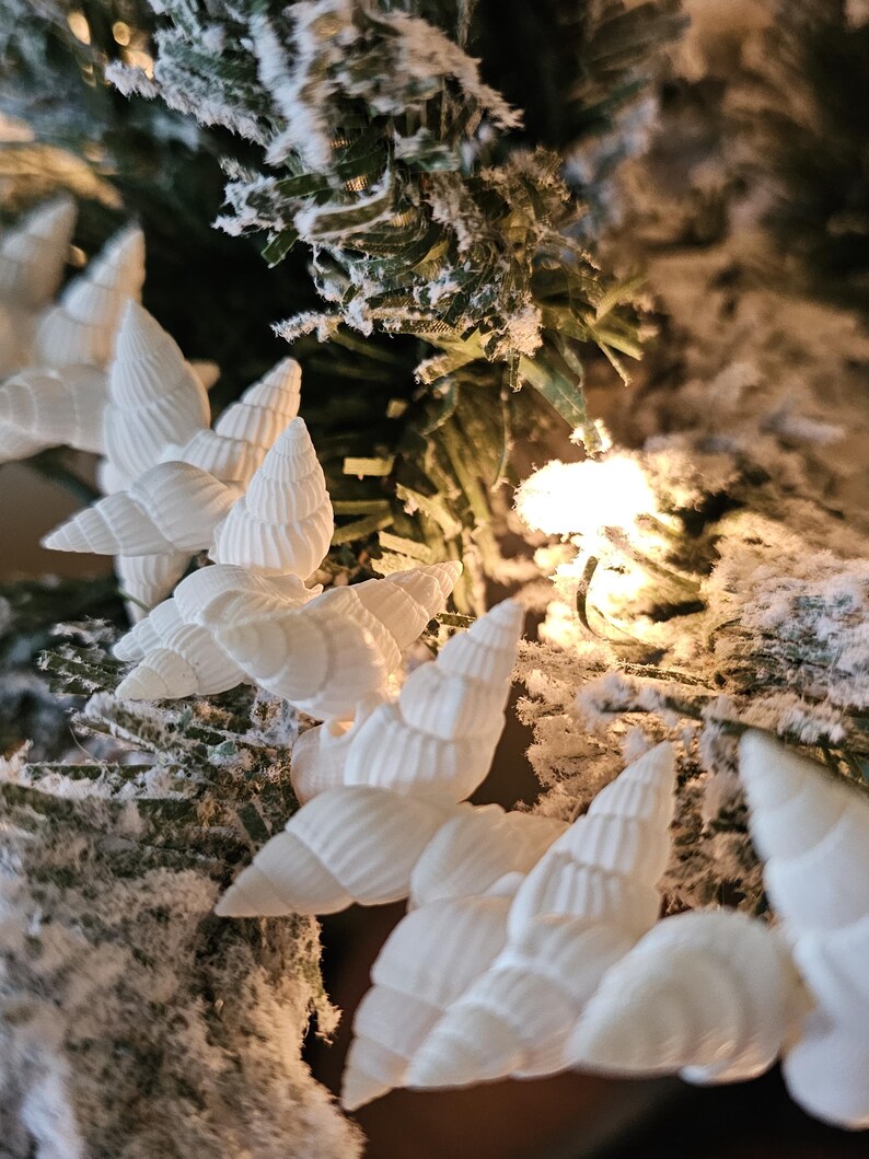 K&ouml;nnte beinhalten: Wei&szlig;e Muscheln, die in einem Kreis auf einem schneebedeckten, gr&uuml;nen k&uuml;nstlichen Weihnachtsbaumzweig angeordnet sind. Die Muscheln sind ein nat&uuml;rliches, organisches Material und haben eine zarte, strukturierte Oberfl&auml;che.