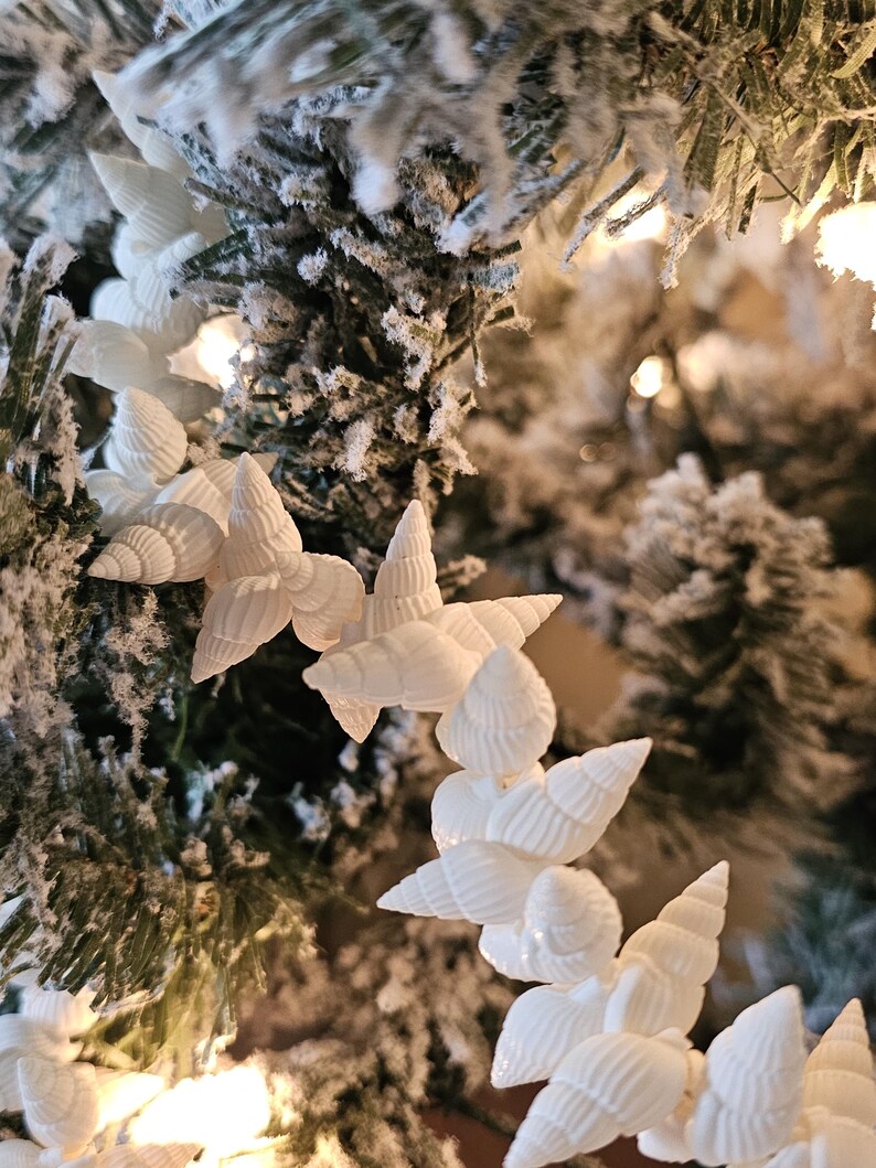 K&ouml;nnte beinhalten: Wei&szlig;e Muscheln, die als Girlande auf einem schneebedeckten gr&uuml;nen Weihnachtsbaumzweig h&auml;ngen.