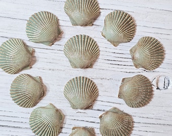 Seashell Mosaic Tile Set Mossy Sea Green 12 Pieces