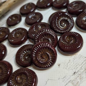 May include: A collection of round, dark brown ceramic buttons featuring a raised, spiraling ammonite fossil pattern. Each button has a glossy, smooth finish with a metallic bronze-toned center that highlights the intricate, radiating grooves of the shell design.