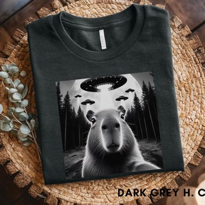 Funny Capybara Shirt, Capybara Selfie Picture, UFO, Weird Animal Shirt, Funny Animal Shirt, Capybara Lovers, Animal Lover Tee, Capybara Gift