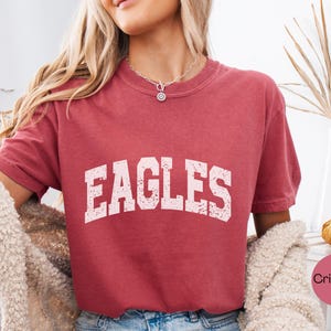 Vintage Eagles Shirt, Comfort Colors® Eagles Game Day Tee, College Mascot Football Shirt,Tailgate Spirit Tee,Gift For Sports Fans,Mascot tee